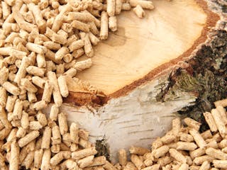 Pelletheizung_Holzpellets_Birkenstamm_Adobe_maho Pelletheizung_Holzpellets_Birkenstamm_Adobe_maho