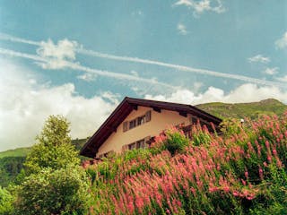 Hangbefestigung: Ein Leitfaden wie Sie den Hang abfangen