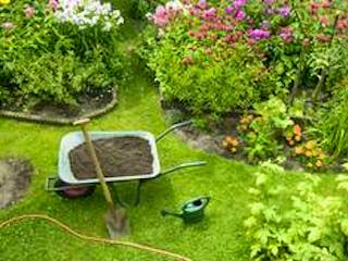 Garten, Bild aus der Vogelperspektive auf einen grünen Garten mit verschiedenen Pflanzen und einer Schubkarre mit Erde und Schaufel, Foto: iStock.com / schulzie Garten, Bild aus der Vogelperspektive auf einen grünen Garten mit verschiedenen Pflanzen und einer Schubkarre mit Erde und Schaufel, Foto: iStock.com / schulzie