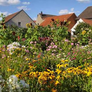 csm_Naturgarten_MartinaBerg_Fotolia_ebfa233685.jpg