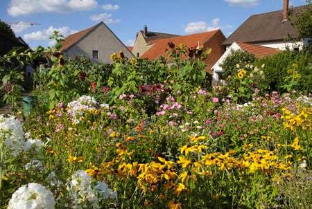 csm_Naturgarten_MartinaBerg_Fotolia_ebfa233685.jpg