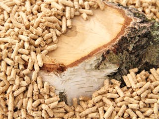 csm_Pelletheizung_Holzpellets_Birkenstamm_fotolia_maho_2cd000d994.jpg