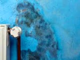 Schimmelbekämpfung, Blaue Wand mit Schimmelflecken, Foto: adam88xx / fotolia.de