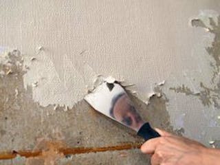 csm_Tapete_entfernen_Spachtel_Liste_iStock_kelvinjay_f3148aebac.jpg