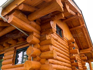 Blockhaus Blockhaus Uckermark von Holzbau Rustikal - Blockhäuser Bausatzhaus ab 243318€, Blockhaus Außenansicht 3