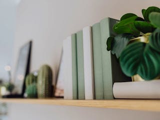 Fertighaus massa Musterhaus Nunkirchen von massa haus, Innenansicht 2