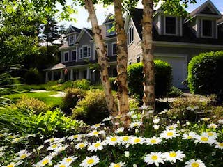 teaser-gartenstile_thirsty-turf-irrigation_unsplash.jpg teaser-gartenstile_thirsty-turf-irrigation_unsplash.jpg