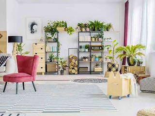 teaser-wohnzimmer_header-istock-katarzyna_bialasiewicz.jpg teaser-wohnzimmer_header-istock-katarzyna_bialasiewicz.jpg