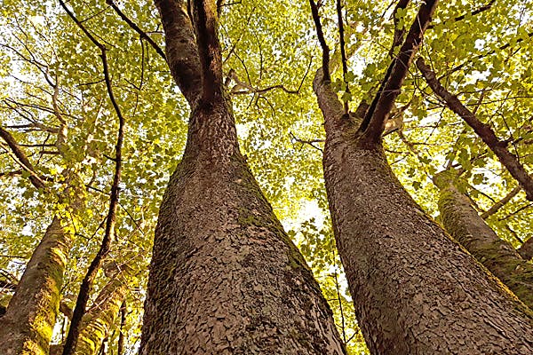 Dienstleister Wiese und Heckmann Hausanbieter Wiese und Heckmann