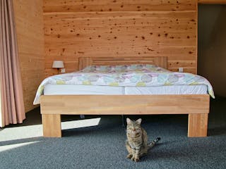 Fertighaus Thoma Landhaus Modern von Zimmerer-Profibau Schlüsselfertig ab 750000€, Satteldach-Klassiker Innenansicht 6